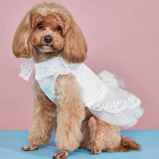 "Pretty dog girl" Party ruha Esküvőre, kutyusoknak