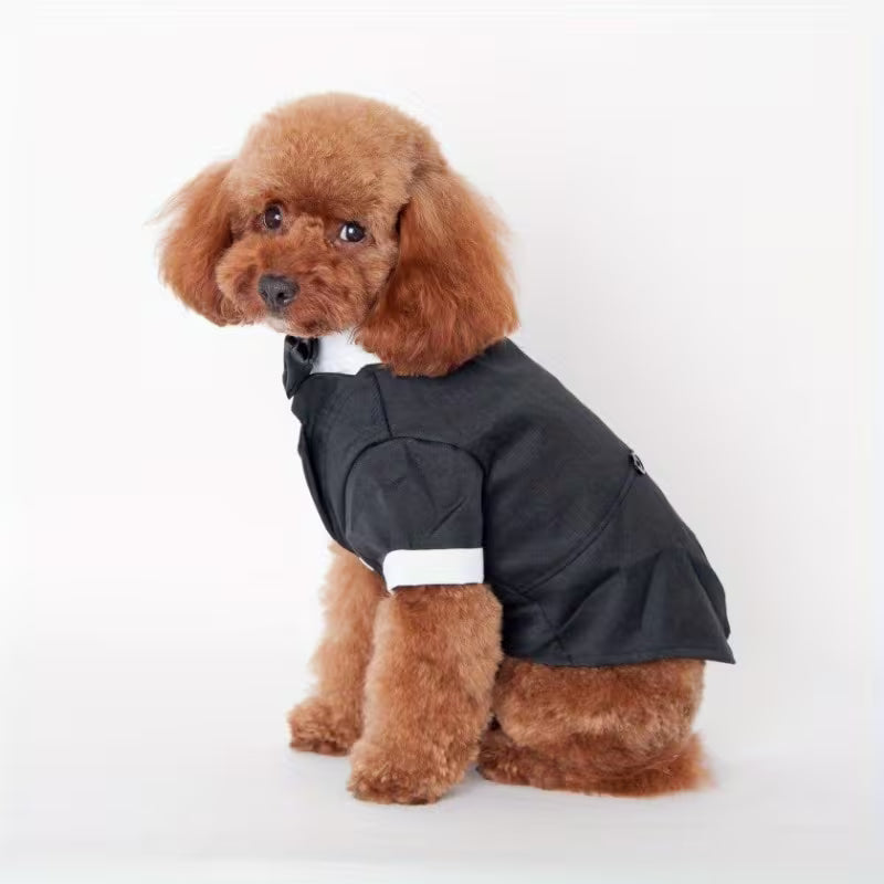 "Elegant dog boy" Szmoking szett kutyusoknak