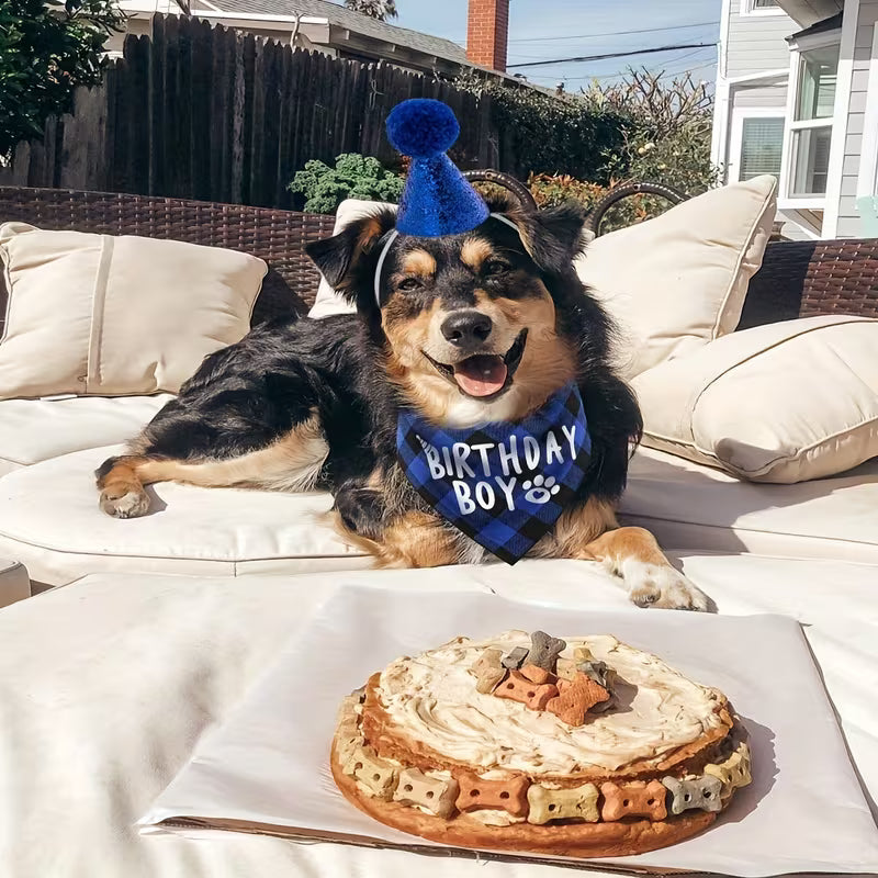 "Birthday with me!" Szülinapi szett háziállatoknak.